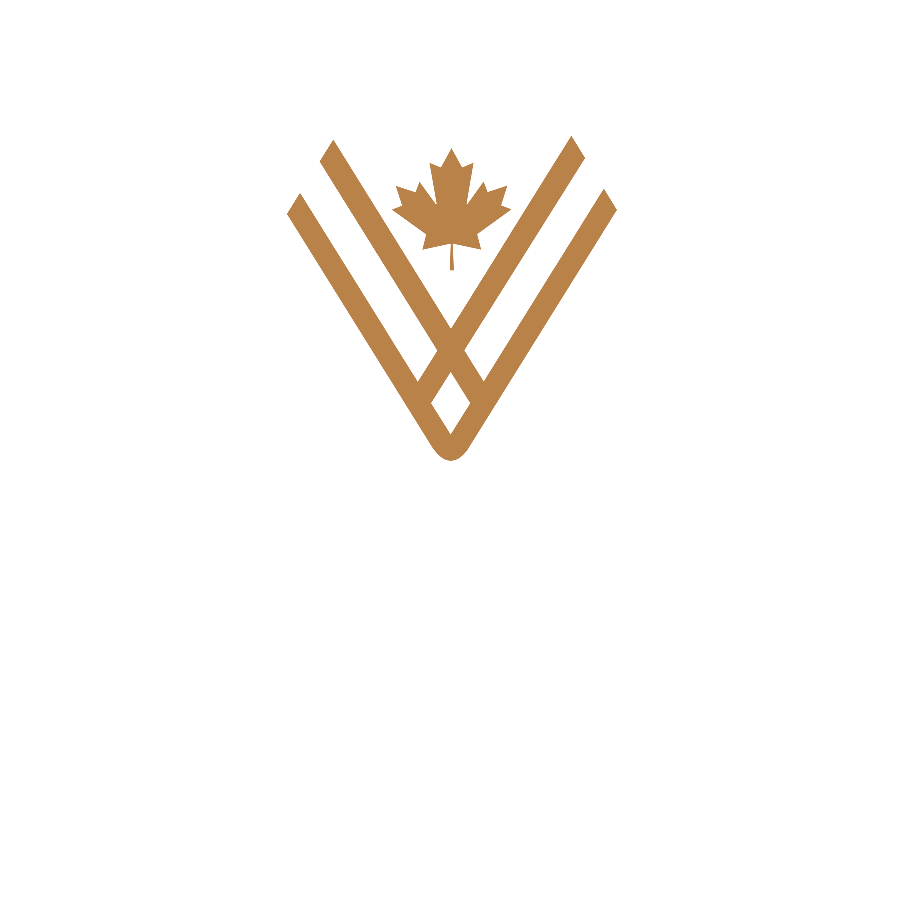 Vivares Gramado